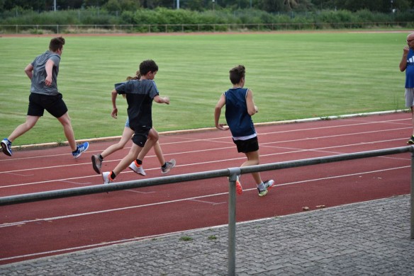 dcu-sommercamp_2019_750_3718_262.jpg