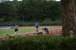 dcu-sommercamp_2019_750_3723_264.jpg